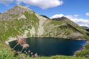 Anello Corno Stella e i suoi laghi da Foppolo, solo, in compagnia degli stambecchi il 15 luglio 2017  - FOTOGALLRY